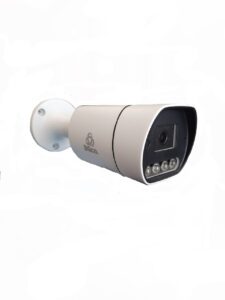 BG-B2054 W