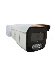 BG-B2062 W